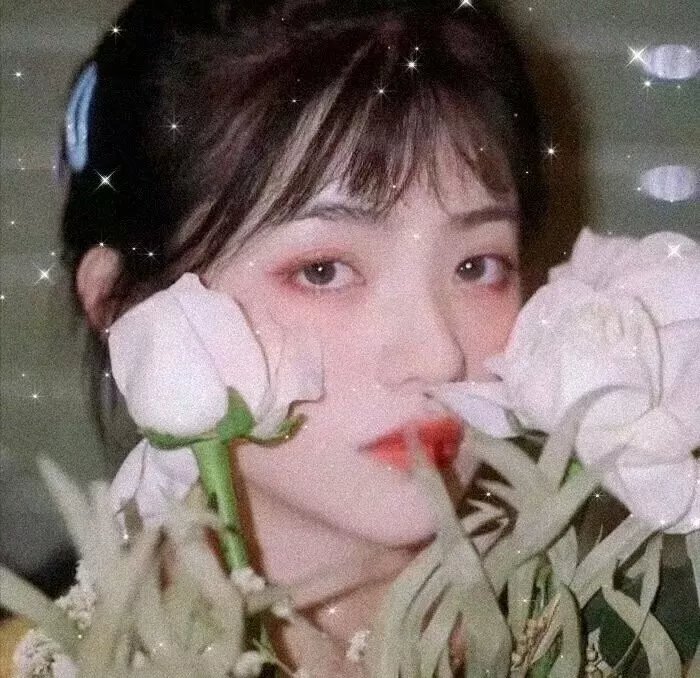 菩提树